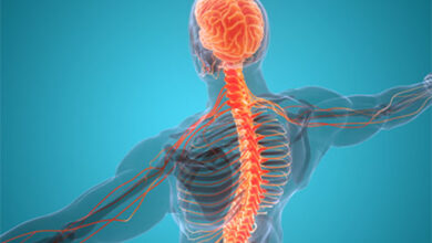 nerve transplantation 390x220 - Un implant actif pour la réparation des nerfs, l'innovation pionnière du chercheur marocain Ahmed Hamraoui