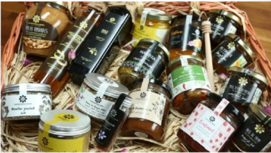 Capture decran 2025 08 15 152837 390x220 - Quand le terroir devient une promesse de qualité et de valeur