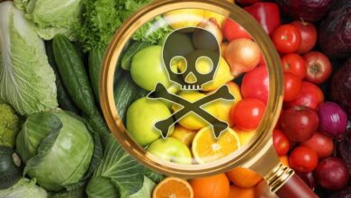 Food tox 390x220 - Les légumes et pains, hautement contaminés au cadmium?