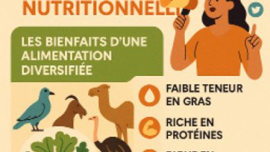 Sans titre 4 390x220 - Sensibiliser pour réhabiliter L’enjeu des viandes oubliées au Maroc