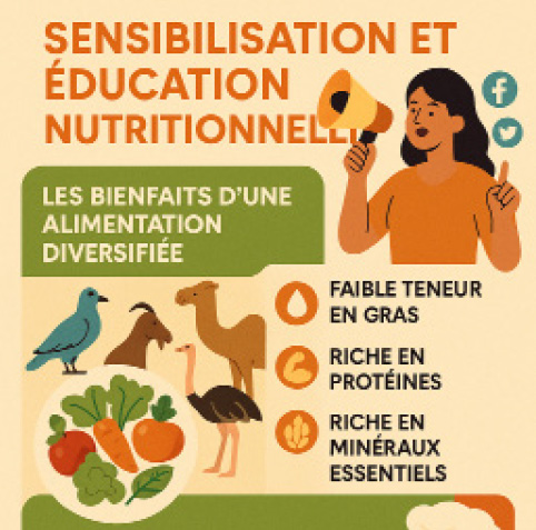 Sans titre 4 - Sensibiliser pour réhabiliter L’enjeu des viandes oubliées au Maroc