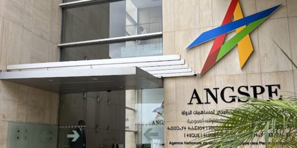 ANGSPE 600x300 - L’ANGSPE rend public le premier Rapport sur l’Etat actionnaire