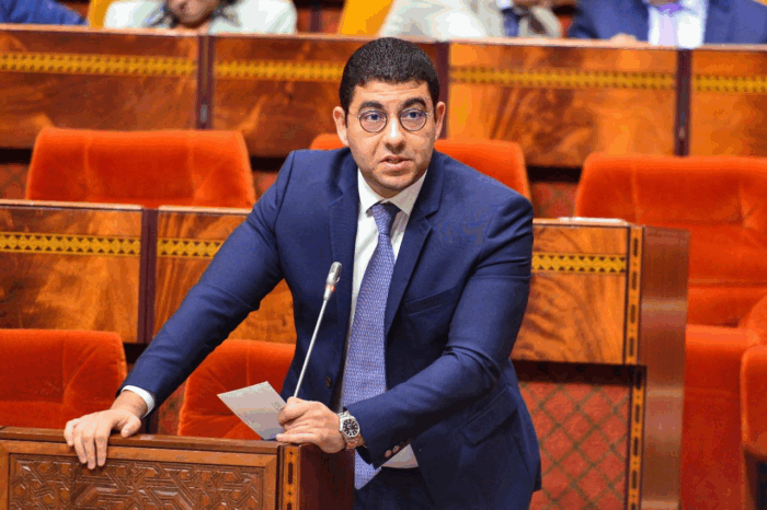 Mehdi Bensaid scaled - Lutte contre les fake news : Mehdi Bensaïd dévoile les grands axes de sa stratégie