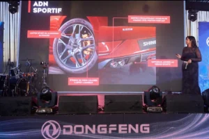 dongfeng 2 300x200 - dongfeng 2
