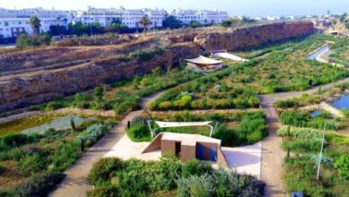parc archeologique de Sidi Abderrahmane 390x220 - Casablanca : Le spectacle "Nostalgia" marque l'ouverture au public du parc archéologique de Sidi Abderrahmane