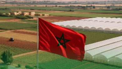 agroalimentaire 390x220 - L’agroalimentaire marocain à l’ère de l’innovation et de la durabilité
