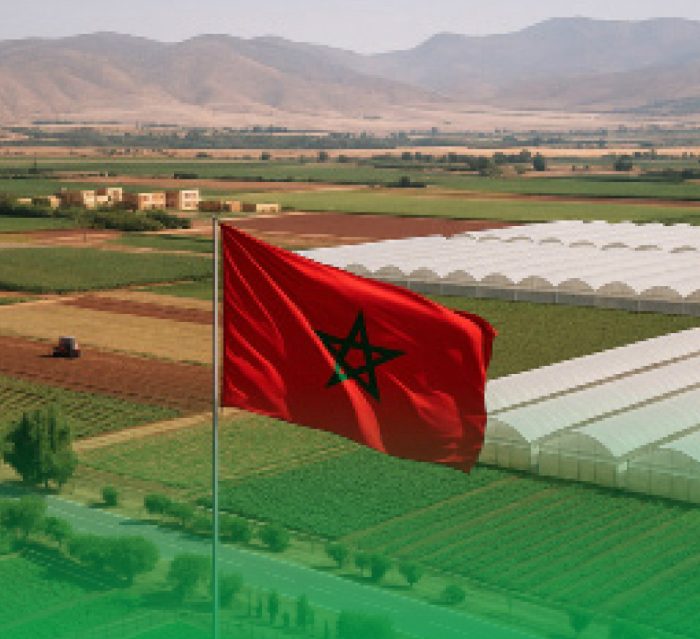 agroalimentaire scaled - L’agroalimentaire marocain à l’ère de l’innovation et de la durabilité