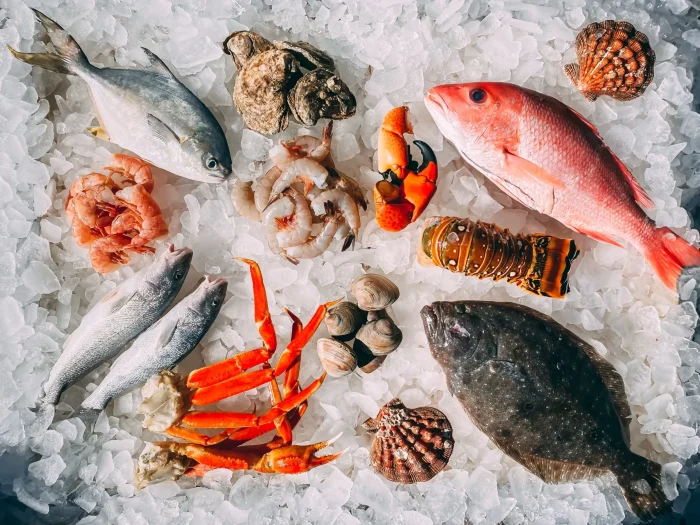 poisson surgele scaled - Poisson entier surgelé : le Maroc leader incontesté de la région MENA en 2024