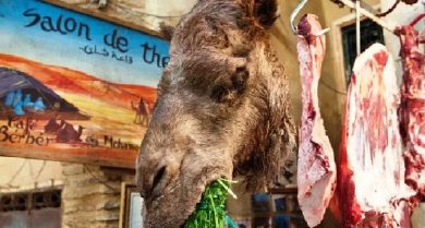 viandes 390x209 - Viandes oubliées ... urbanisation & appui offciel Aux origines de la marginalisation