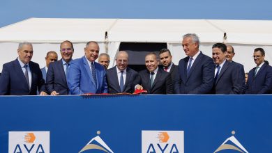 Anouar Yieldest Additives AYA nouveau fleuron industriel du groupe Anouar Invest 390x220 - AYA : un nouveau pas pour le Maroc dans les biotechnologies