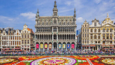 Bonnes adresses Bruxelles 390x220 - Le consommateur marocain ne fait plus confiance au lait!