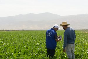 Cosumar 300x200 - Cosumar