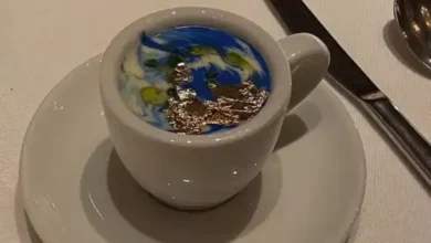 img 7006 390x220 - Gastronomie : Massimiliano Alajmo réinvente le dialogue entre le Maroc et l’Italie