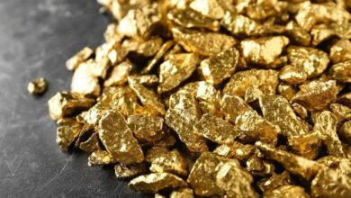 or conso 390x220 - PLF 2026 : hausse des taxes sur l’électroménager importé