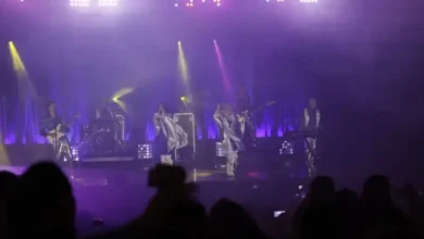 ABBA Casa 390x220 - ABBA Tribute fait vibrer Casablanca lors d’une soirée haute en couleur