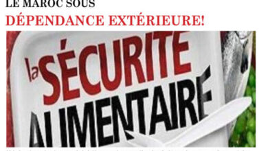 Couv Consonews Num 58 Hebdo 390x220 - Numéro 58 – 02 Novembre 2025