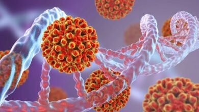 Lhepatite B 390x220 - L’OMS classe officiellement le Maroc parmi les pays maîtrisant l’hépatite B