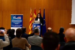 IDM 1 300x200 - IDM 1