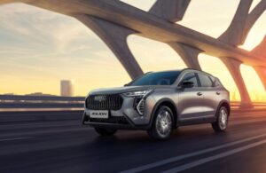 JOLION FL 300x195 - JOLION FL