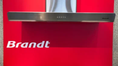 brandt 390x220 - Brandt : la fin d’une marque centenaire ?