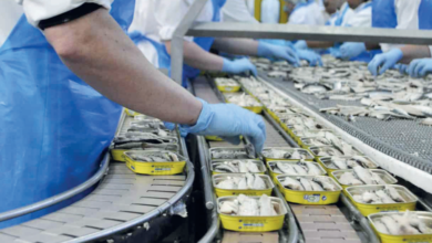 Sardines en conserve : le Maroc leader mondial incontesté conserves sardine 390x220 - Sardines en conserve : le Maroc leader mondial incontesté