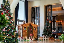 hilton 1 220x150 - À Tanger, Hilton transforme décembre en une expérience festive totale, entre gastronomie, famille et nuits d’exception