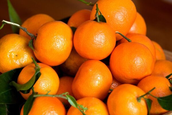 mandarines clementines maroc 600x401 - Risques de nitrates : les mandarines marocaines parmi les plus sûres selon une étude russe