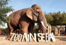 parc zoologique dAin Sebaa 220x150 - Casablanca : Le parc zoologique d’Aïn Sebaâ rouvre ses portes après un vaste réaménagement