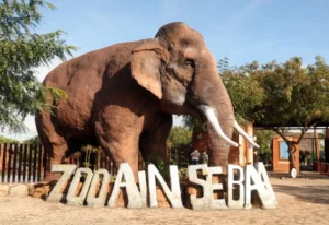 parc zoologique dAin Sebaa 300x206 - parc zoologique d&rsquo;A&iuml;n Seba&acirc;