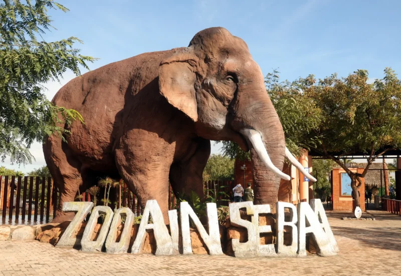 parc zoologique dAin Sebaa - Casablanca : Le parc zoologique d’Aïn Sebaâ rouvre ses portes après un vaste réaménagement