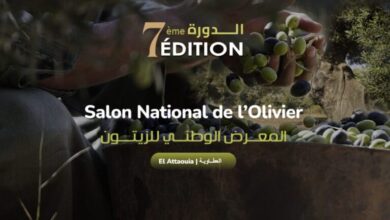 7e edition du salon national de lolivier 1024x555 1 390x220 - Participation de Lesieur Cristal au Salon national de l’Olivier d’El Attaouia 