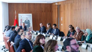 AMDIE 3 390x220 - L’AMDIE tient son 11e Conseil d’administration et valide son plan d’action 2026