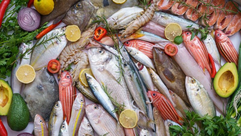 Poisson et de fruits de mer : sensibilisation des consommateurs UE aux recommandations alimentaires sur le mercure poisson fruits de mer - Poisson et de fruits de mer : sensibilisation des consommateurs UE aux recommandations alimentaires sur le mercure