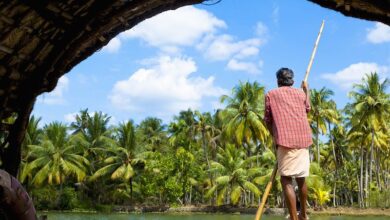 voyage immersif 390x220 - Tendances du voyage 2026 : Minor Hotels mise sur l’authenticité et la quête de sens