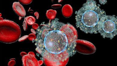 immunite 390x220 - Santé : le Maroc en tête du World Immunity Index 2026