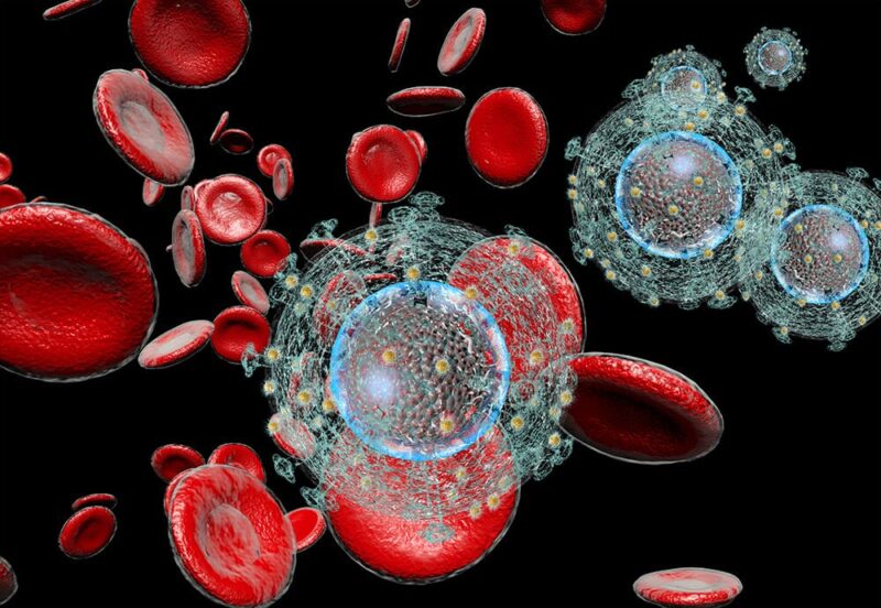 immunite - Santé : le Maroc en tête du World Immunity Index 2026