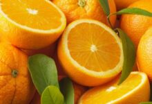 orange 220x150 - Agrumes : une cargaison marocaine refoulée à Saint-Pétersbourg pour contamination