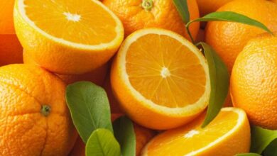 orange 390x220 - Agrumes : une cargaison marocaine refoulée à Saint-Pétersbourg pour contamination