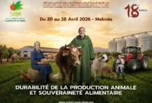 siam 2026 220x150 - Le 18e SIAM du 20 au 28 avril à Meknès sous le signe de la durabilité de la production animale et de la souveraineté alimentaire