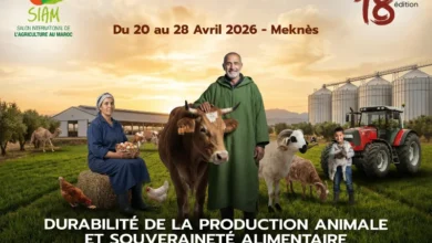 siam 2026 390x220 - Le 18e SIAM du 20 au 28 avril à Meknès sous le signe de la durabilité de la production animale et de la souveraineté alimentaire