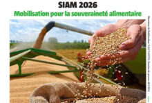 Consonews Num 73 MAG compressed 1 220x150 - Numéro 73 – 07 Avril 2026