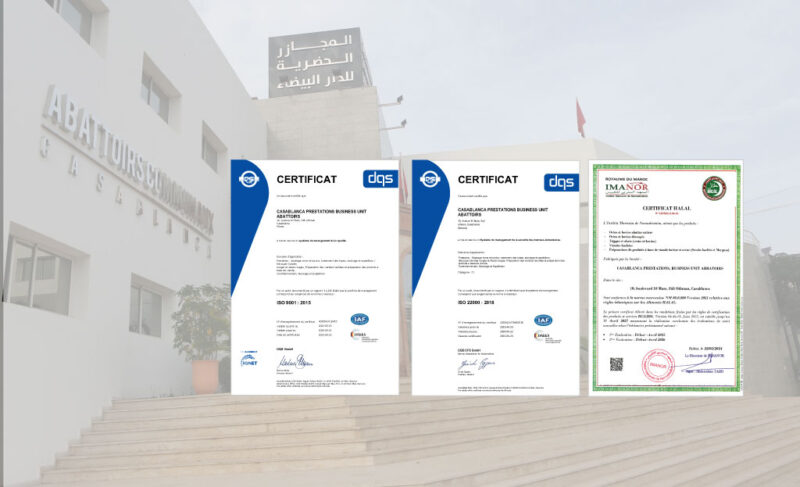 Abattoirs de Casablanca : triple certification renouvelée, les standards qualité et halal confirmés